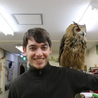 Owls 11
