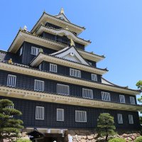 Okayama Castle

