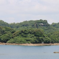 Island with torii
