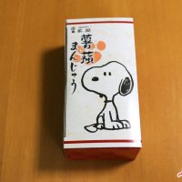 Snoopy Cakes Kyoto Nishiki