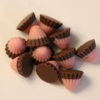 Strawberry Chocolate
