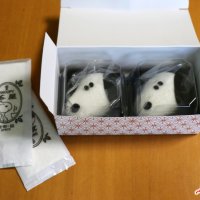 Snoopy Cakes Kyoto Nishiki