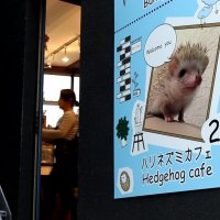 Harry Cafe Roppongi